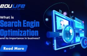 What is Search Engine Optimization and its important in business?